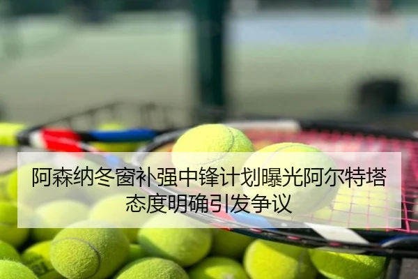 阿森纳冬窗补强中锋计划曝光阿尔特塔态度明确引发争议